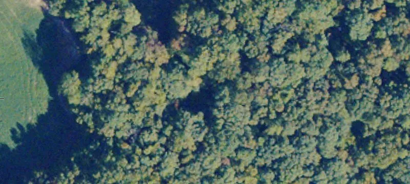 Drakes Branch, VA 23937