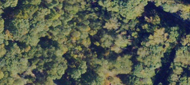 2050 Red Rd
