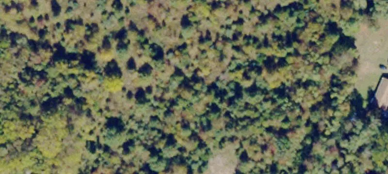 Elon Rd