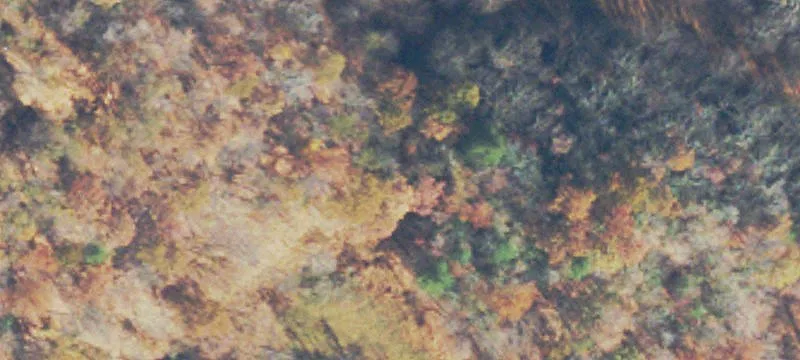Woolwine, VA 24185