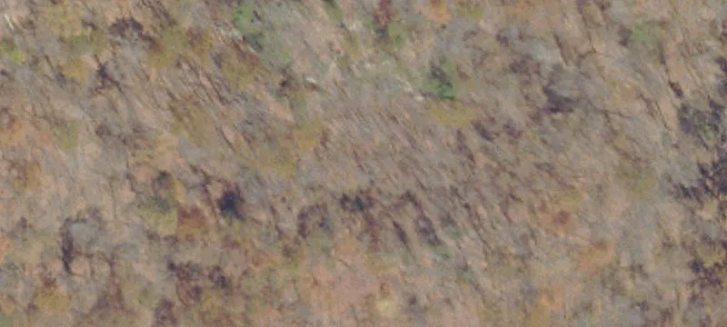 Vance Br Rd