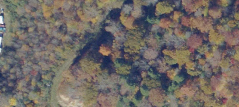 Dismal River
