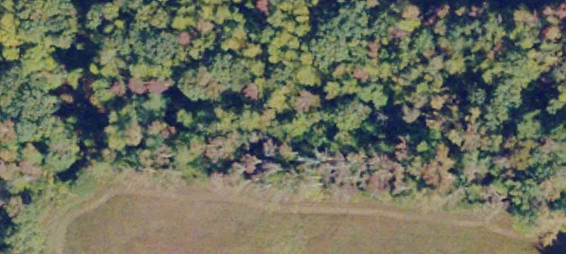 Keysville, VA 23947