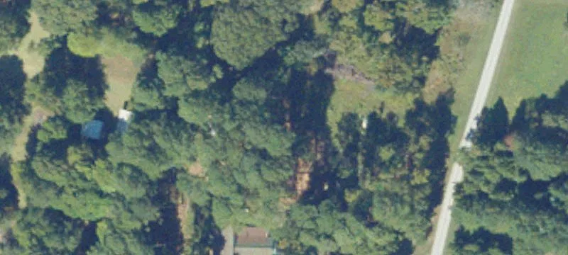 456 Poplar Grv Ln