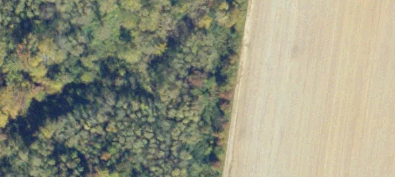 17242 Northumberland Hwy