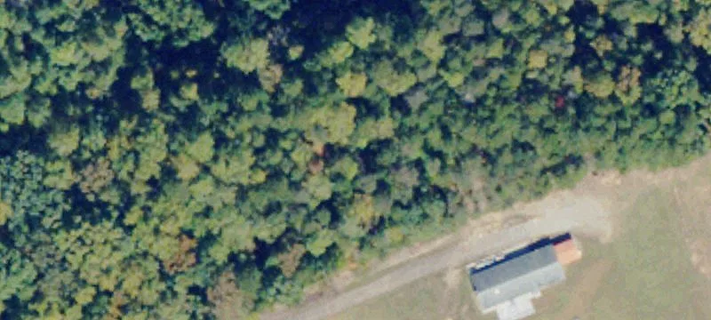 Paradise Rd