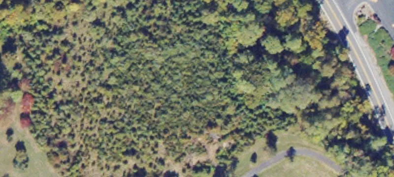 Sterrett Rd