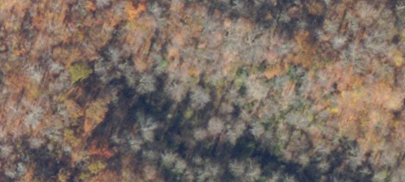 Clintwood, VA 24228