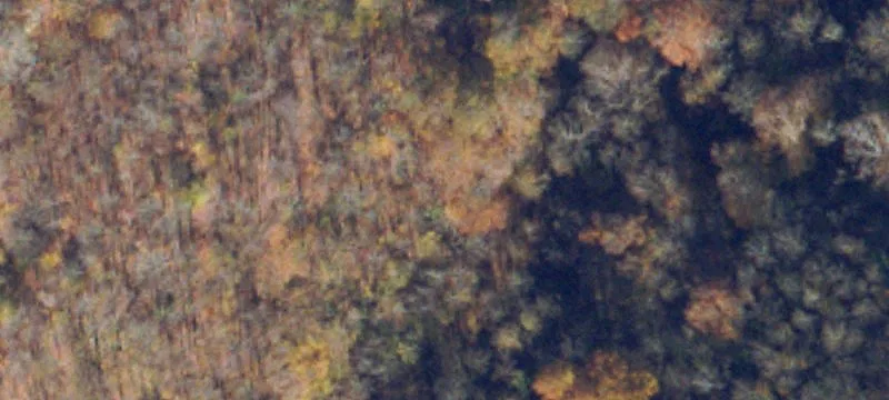 Big Rock, VA 24603