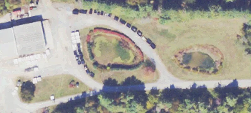 Cougar Dr