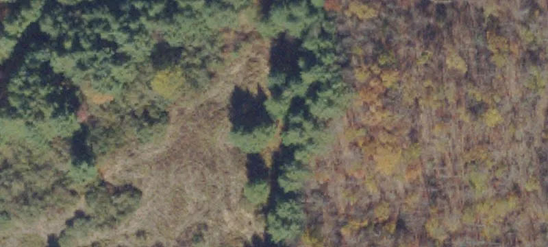 Vansant, VA 24656