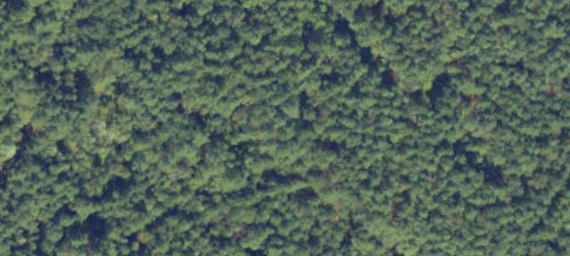 Jamaica, VA 23079