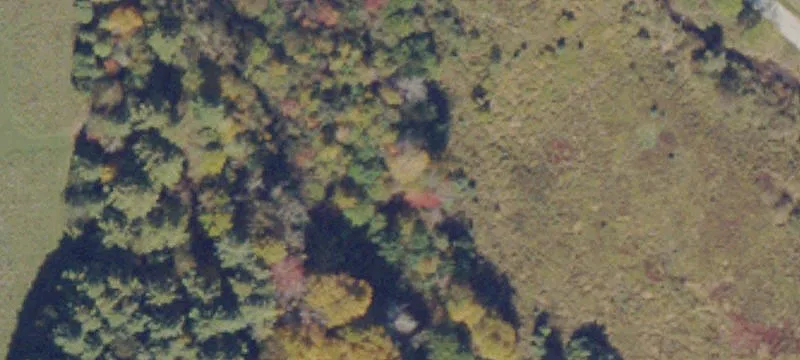 Willis, VA 24380