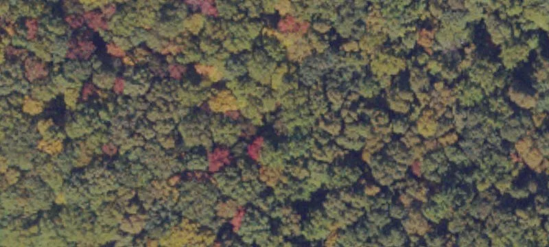  Meadows