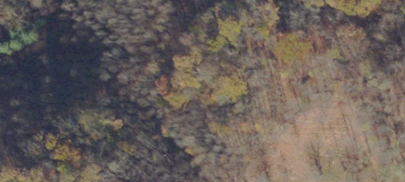 Vansant, VA 24656