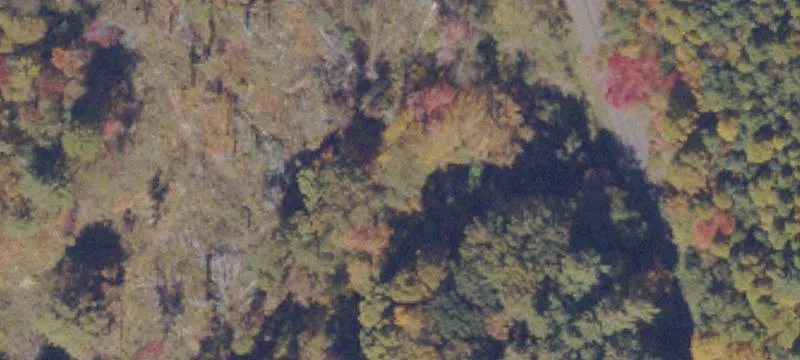Laurel Fork, VA 24352