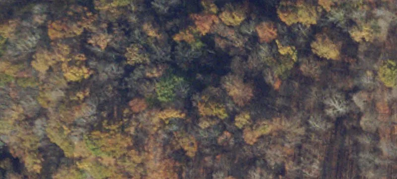 Clintwood, VA 24228