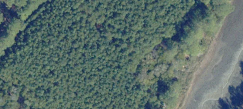 Birdsnest, VA 23307