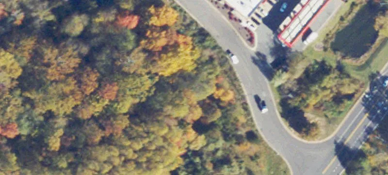 Lyndon Dr