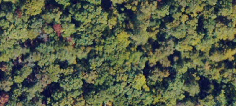 Nellysford, VA 22958
