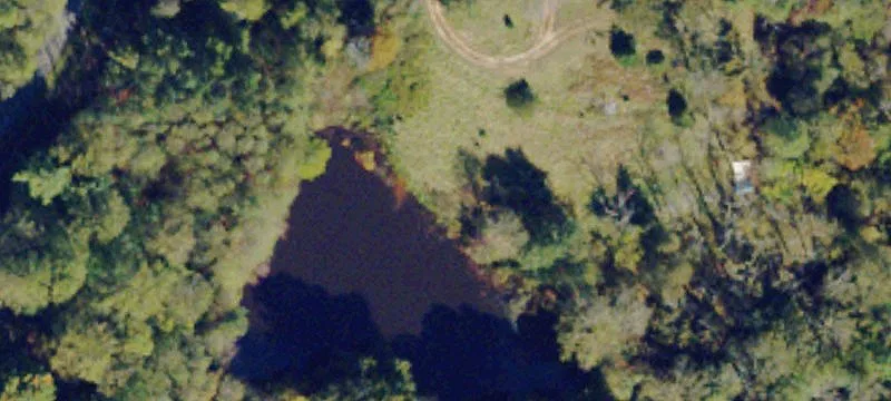 848 Lk Nelson Ln