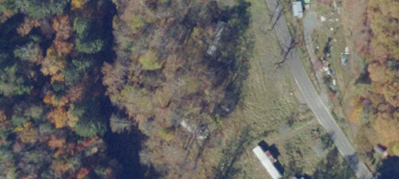 Dismal Riv Rd