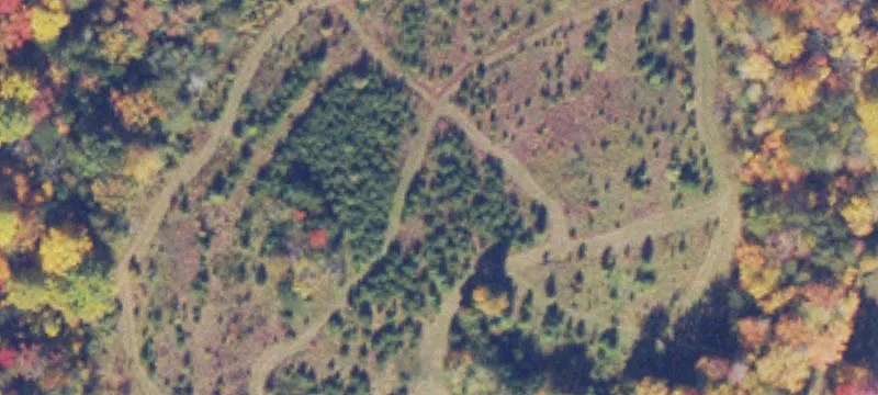 Ruckersville, VA 22968