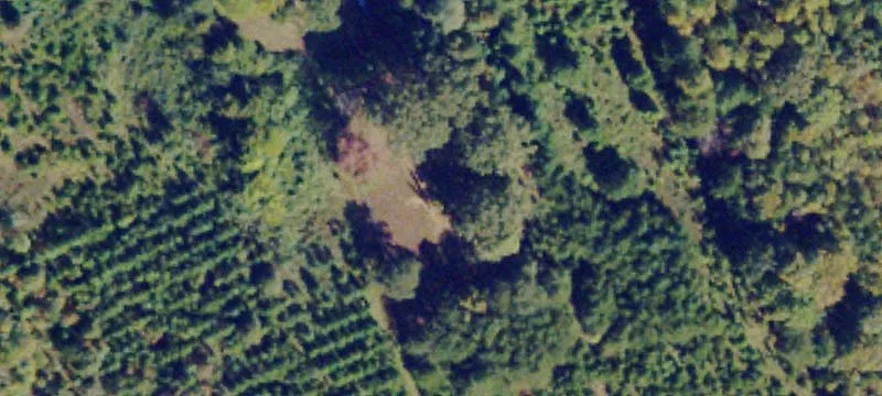 Pamplin, VA 23958