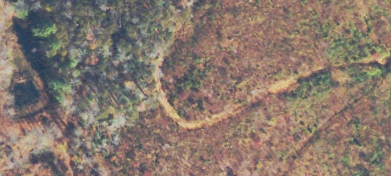 Woolwine, VA 24185