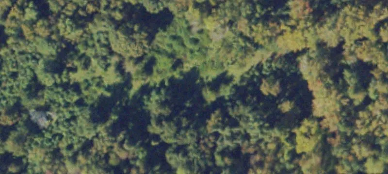 Blackstone, VA 23824