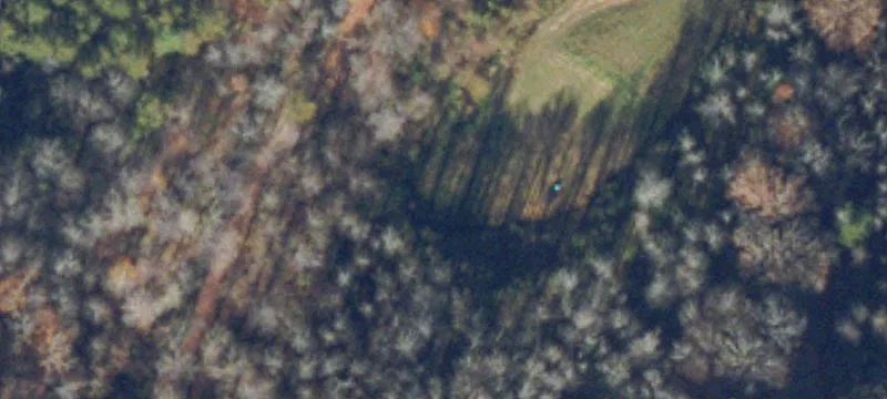 231 Gray Dog Rd