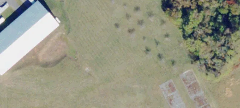Nellysford, VA 22958