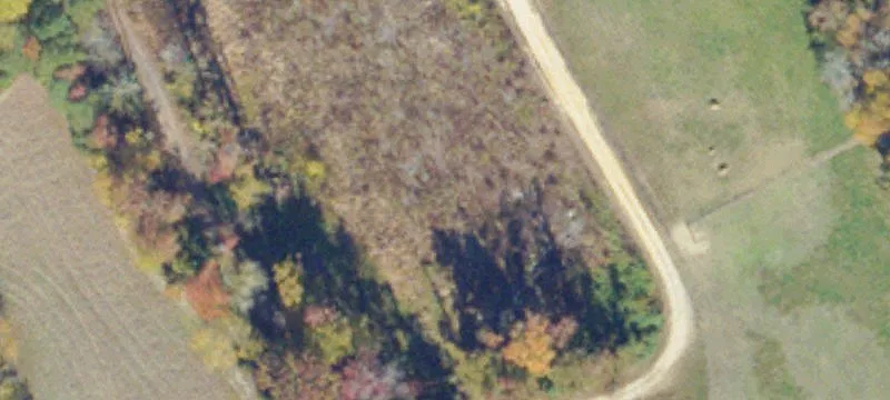 1082 Pinckardsville Rd