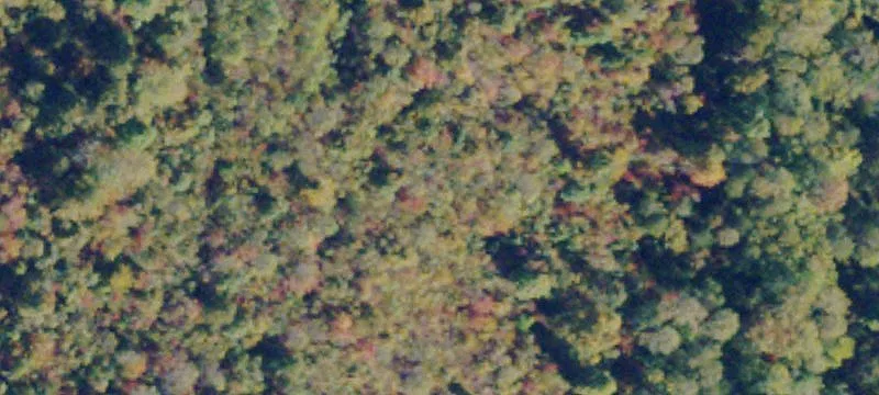 Pamplin, VA 23958