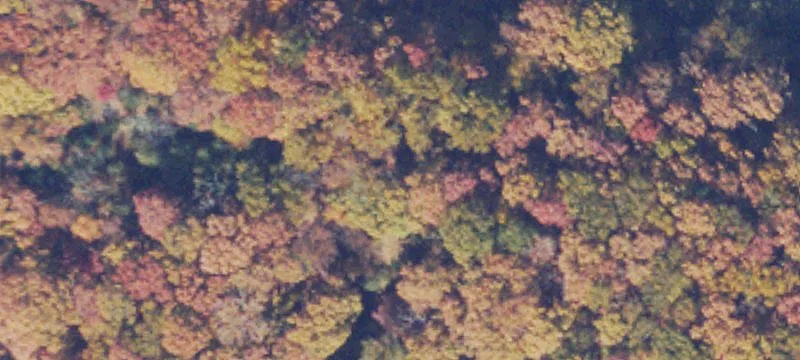 Hot Springs, VA 24445