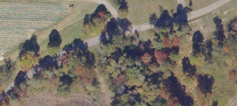 Laurel Fork, VA 24352