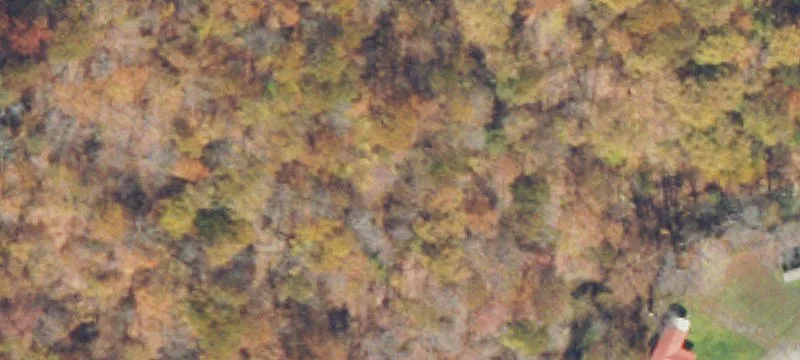 Buttermilk Rd