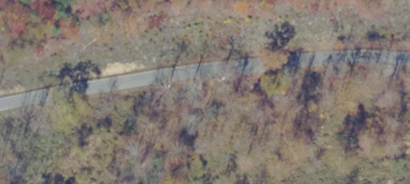 21036 Dismal Riv Rd