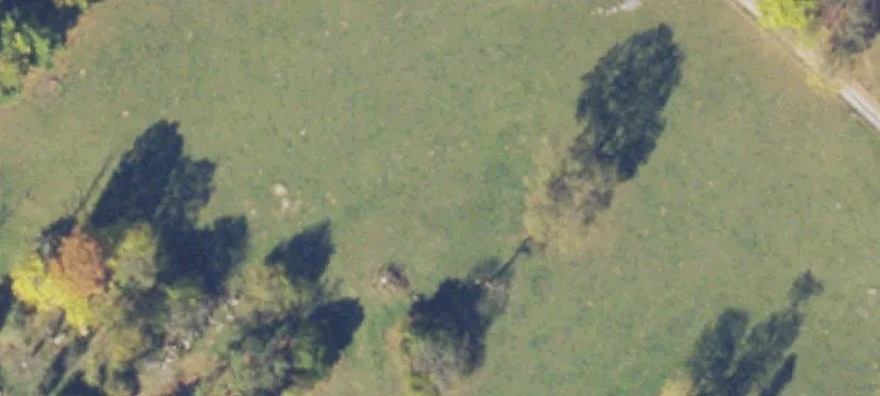 1646 Cow Pasture Ln