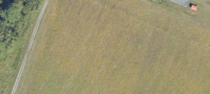 Melfa, VA 23410