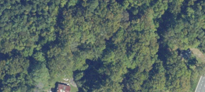 11431 Occohannock Nck Rd