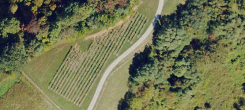 585 Mtn Cv Rd