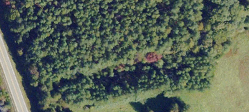 James Madison Hwy