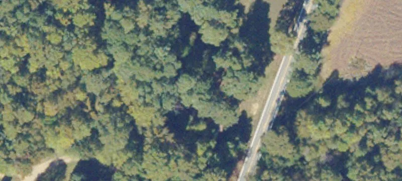 Lawrenceville, VA 23868