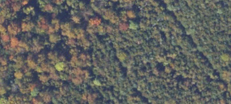 Elkton, VA 22827