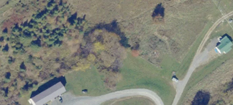 Cedar Bluff, VA 24609