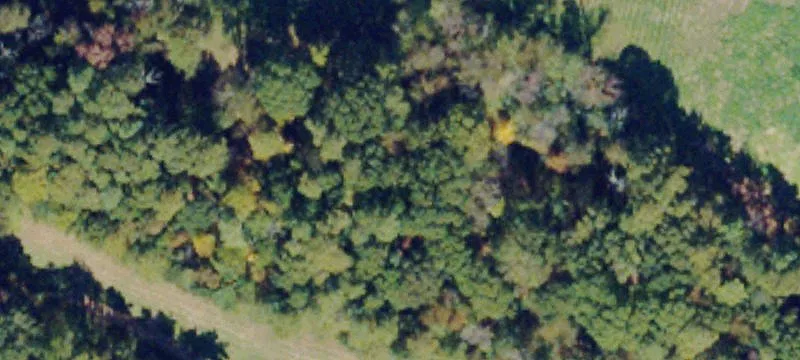 Piney River, VA 22964
