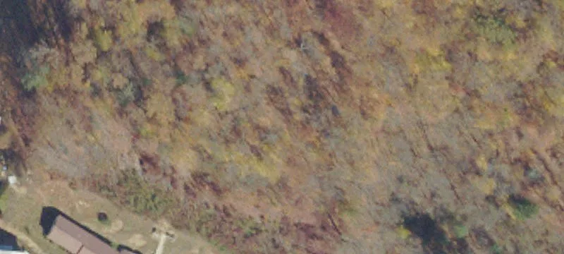 4675 Guesses Frk Rd
