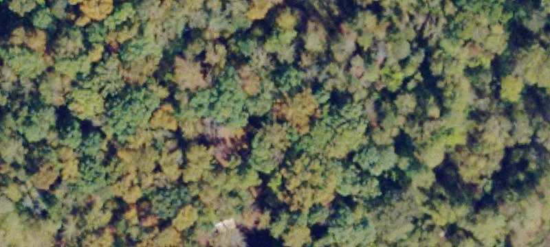 Pamplin, VA 23958
