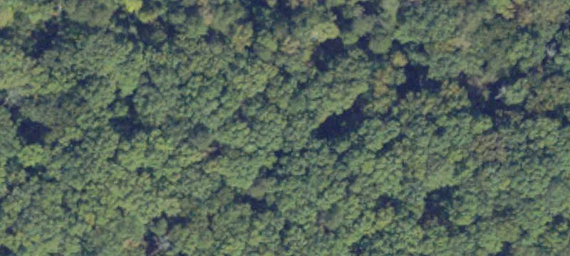 Jamaica, VA 23079